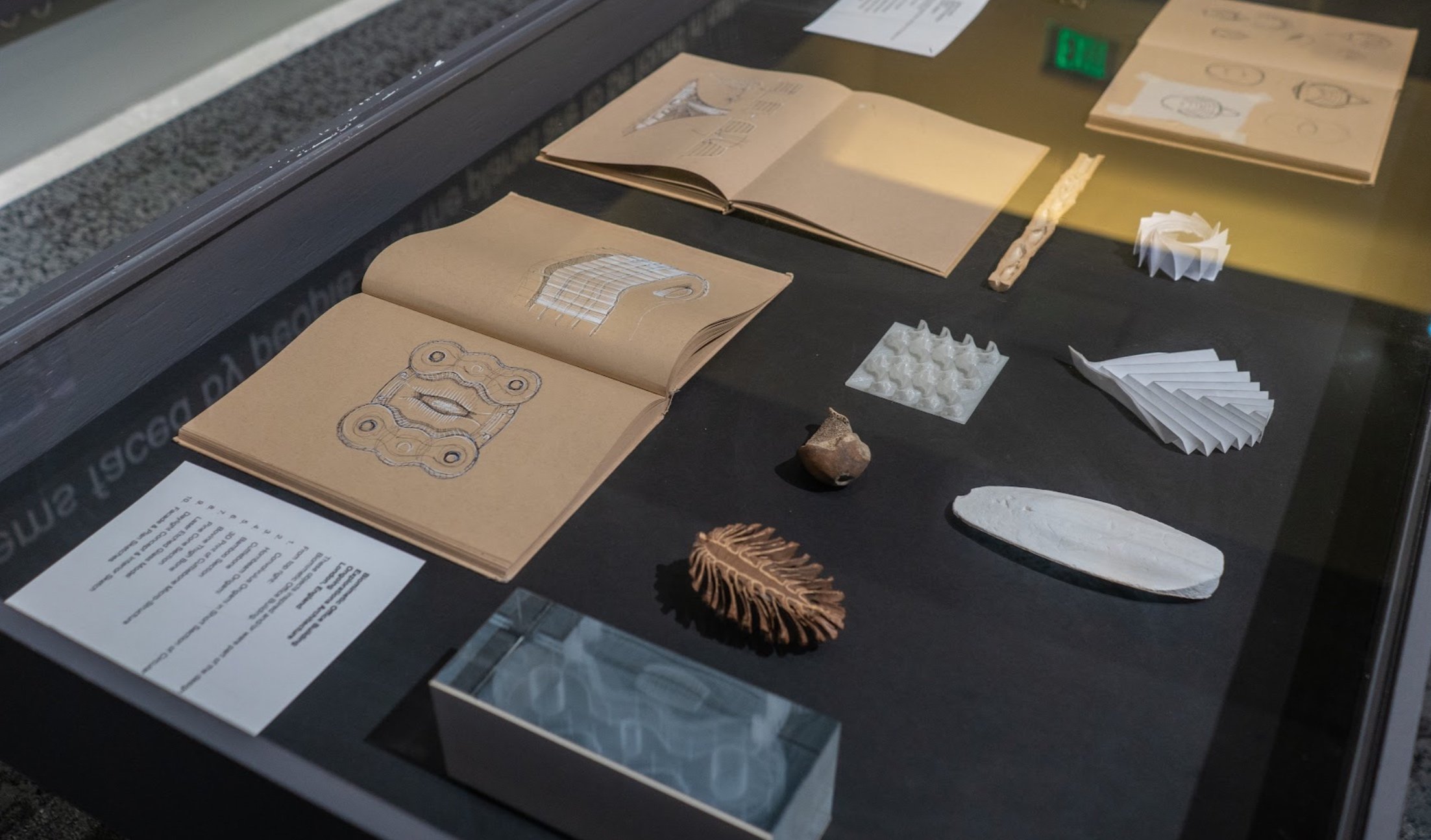 Learning From Nature — MODA